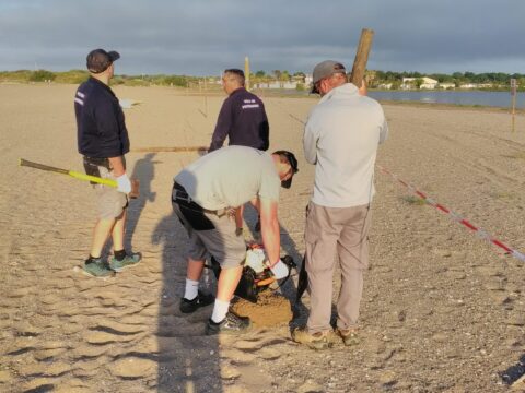 Balisage sur une plage héraultaise ©CAHM