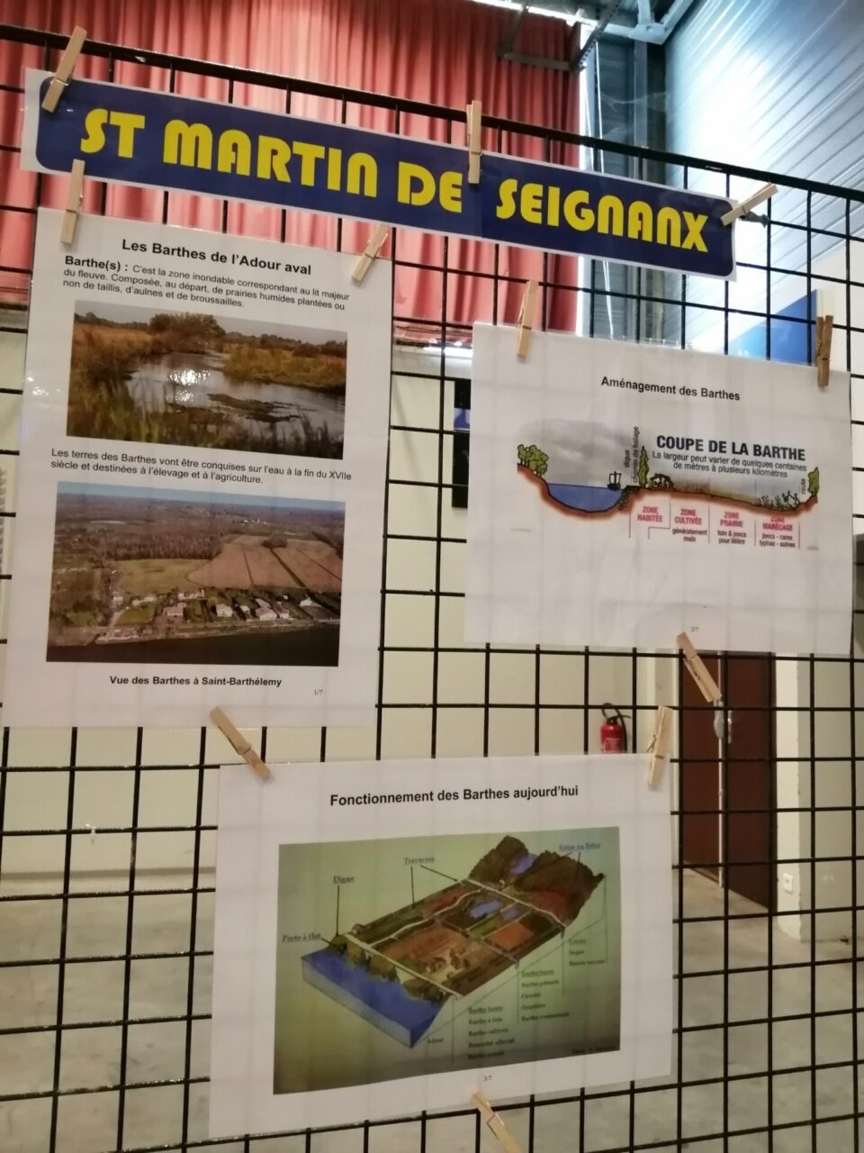 img 20240516 181313 resized 20240523 110110978